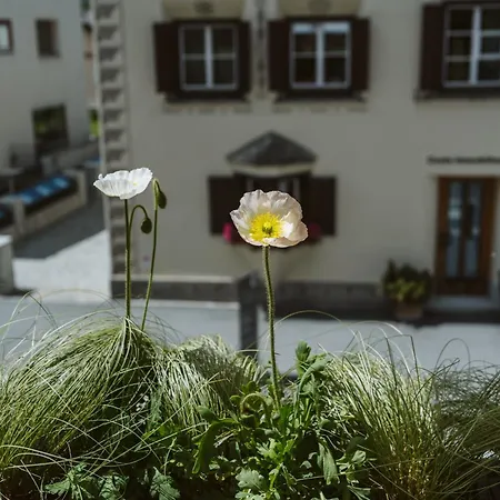 Hotel Engadinerhof 2*