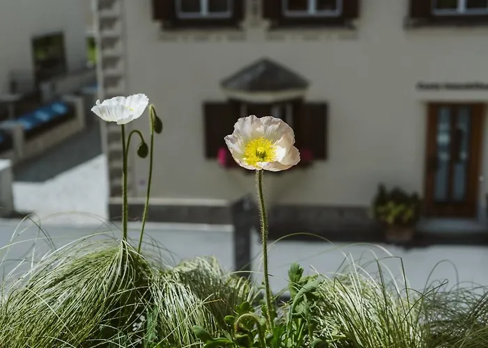 Hotel Boutique Engadinerhof - A For Generations 2*